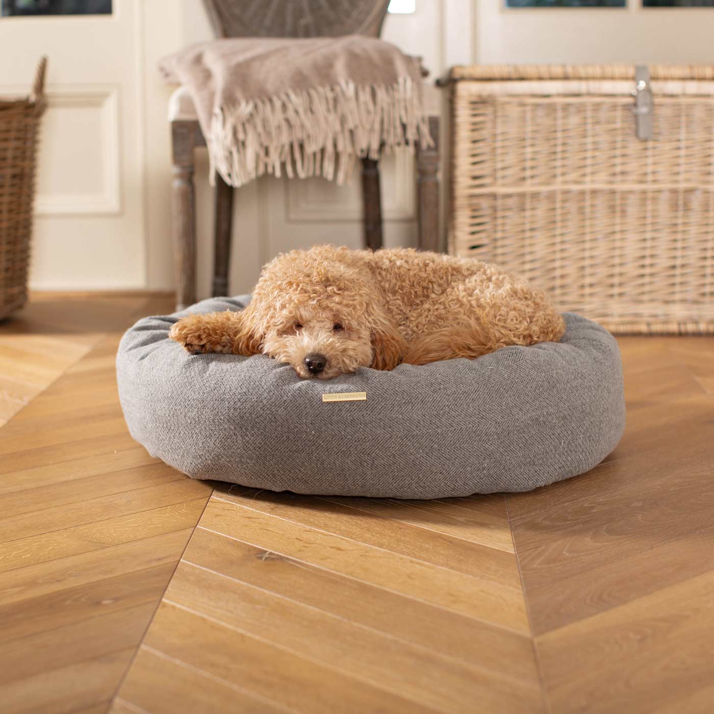 Best dog beds for dachshunds hotsell