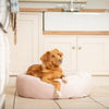 Donut Bed in Blossom Velvet By Lords & Labradors