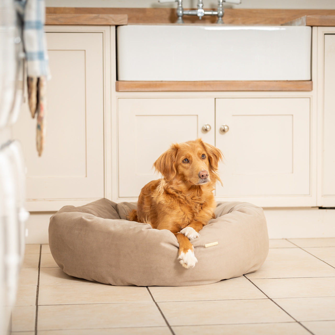 Donut Bed in Clay Velvet By Lords & Labradors