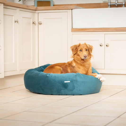 Donut Bed With Removable Covers in Marine Velvet by Lords & Labradors