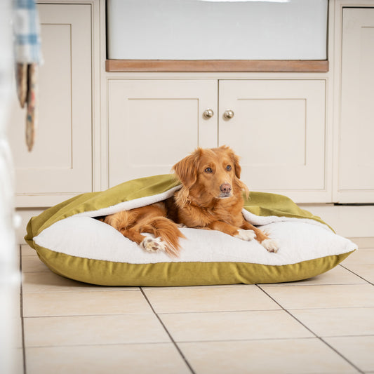 Sleepy Burrows Bed In Olive Velvet By Lords & Labradors