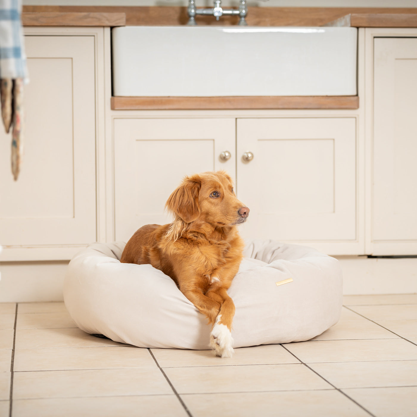 Donut Bed in Oyster Velvet By Lords & Labradors