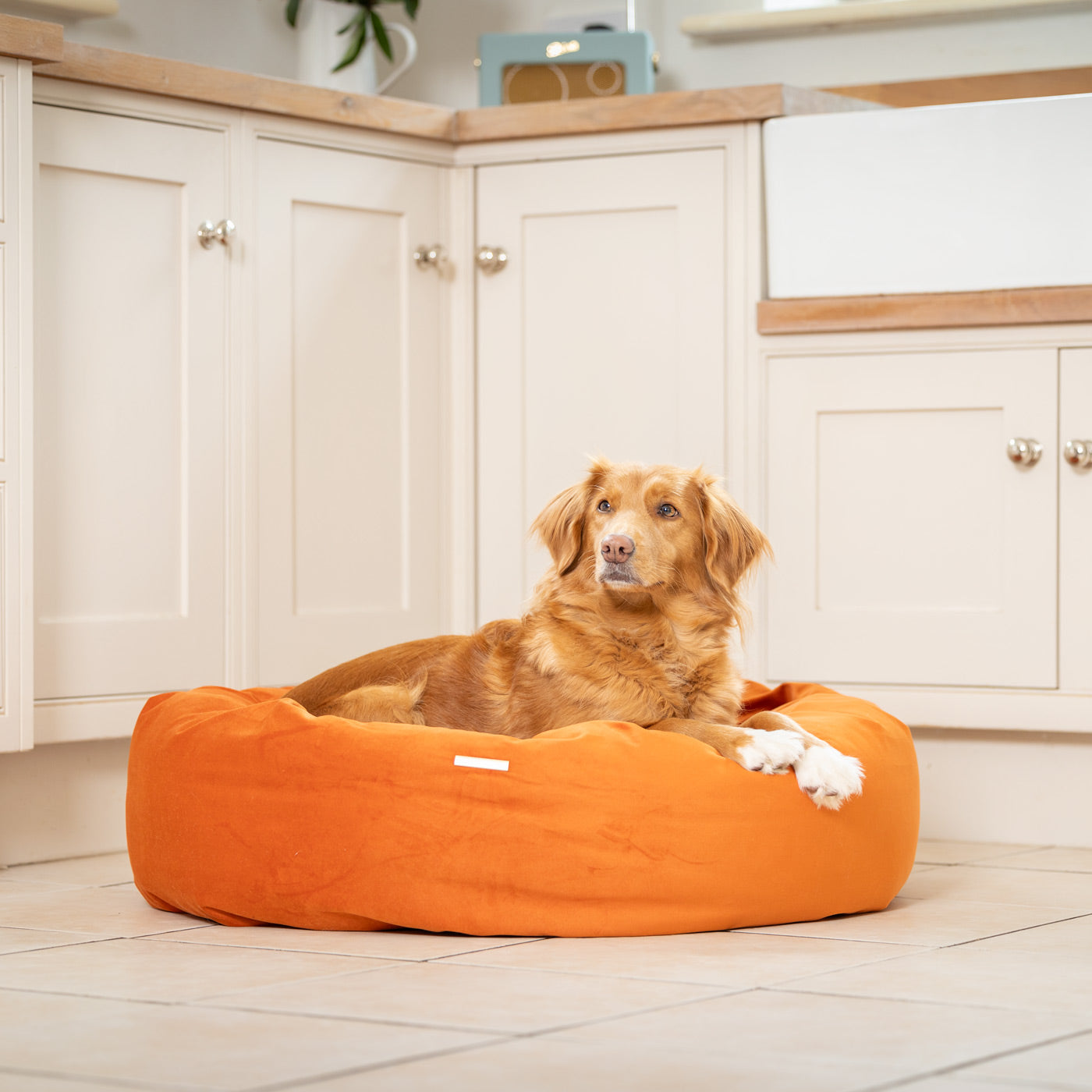 Donut Bed in Pumpkin Velvet By Lords & Labradors