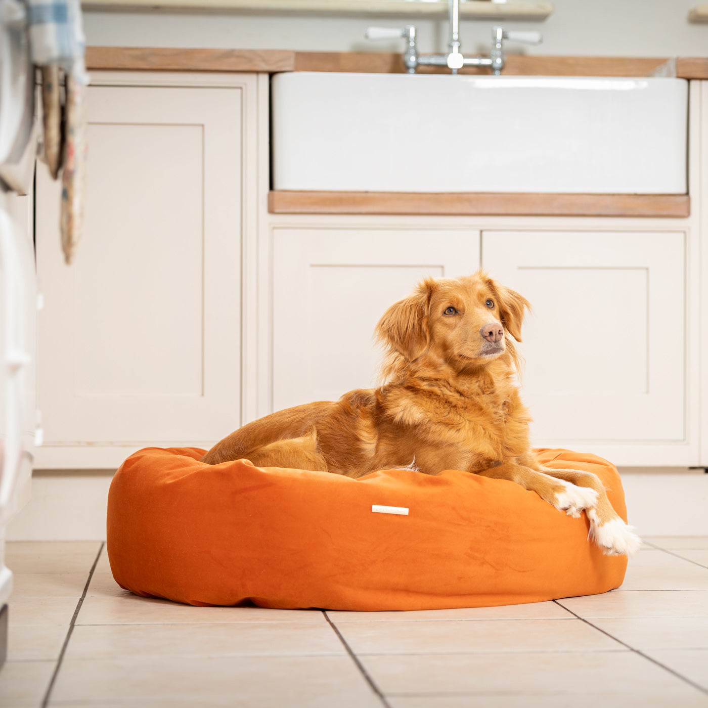 Donut Bed in Pumpkin Velvet By Lords & Labradors