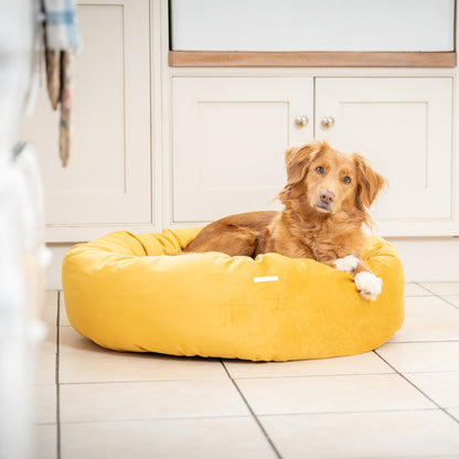 Donut Bed in Saffron Velvet By Lords & Labradors