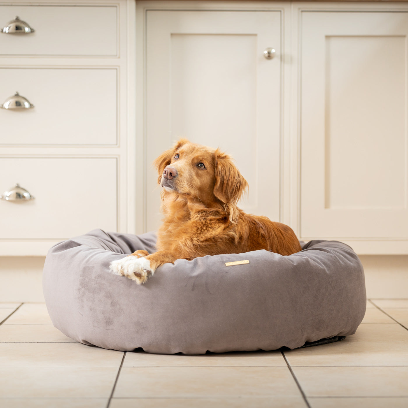 Donut Bed in Silt Velvet By Lords & Labradors