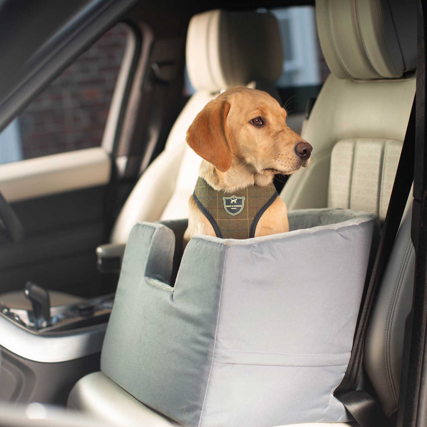 Embark on the perfect pet travel with our luxury car booster seat! Featuring removable cushion with foam padding for extra comfort! Available now at Lords & Labradors       