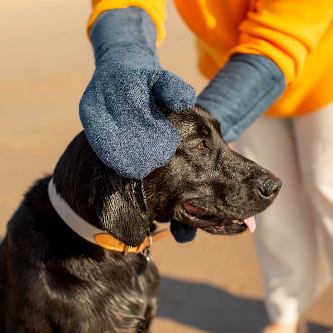 Dog drying mitts uk sale