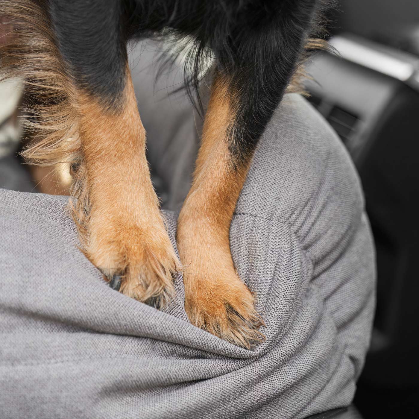 Embark on the perfect pet travel with our luxury Double Easy Traveller Seat! Featuring removable inner cushion with with cover for easy cleaning! Available now at Lords & Labradors    