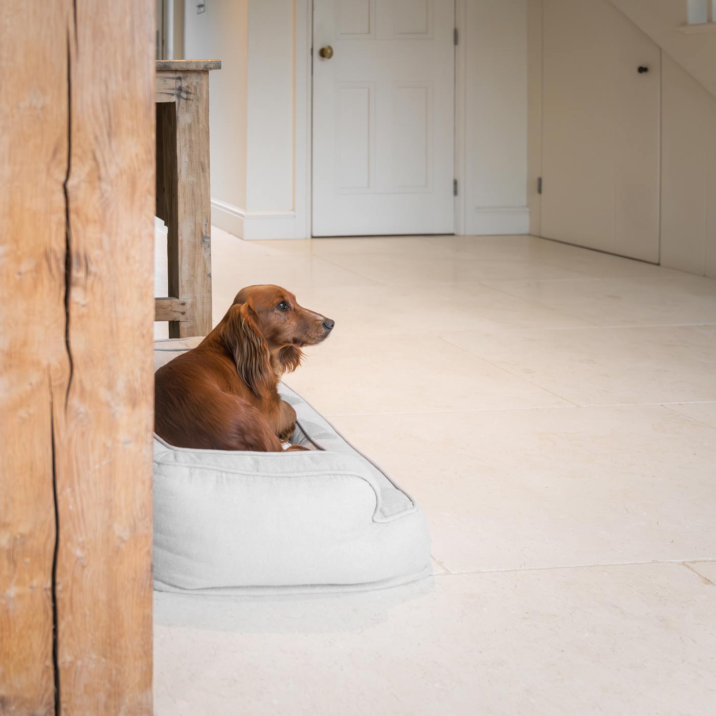 Fancy dog outlet door