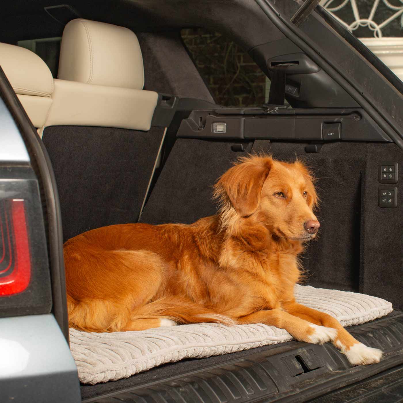 Embark on the perfect pet travel with our luxury Travel Mat in Essentials Light Grey. Featuring a Carry handle for on the move once Rolled up for easy storage, can be used as a seat cover, boot mat or travel bed! Available now at Lords & Labradors