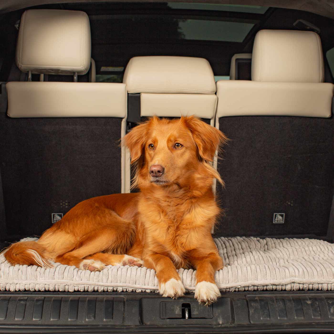 Embark on the perfect pet travel with our luxury Travel Mat in Essentials Light Grey. Featuring a Carry handle for on the move once Rolled up for easy storage, can be used as a seat cover, boot mat or travel bed! Available now at Lords & Labradors