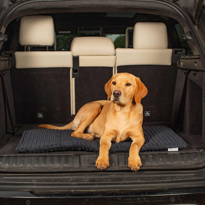 Embark on the perfect pet travel with our luxury Travel Mat in Essentials Navy. Featuring a Carry handle for on the move once Rolled up for easy storage, can be used as a seat cover, boot mat or travel bed! Available now at Lords & Labradors