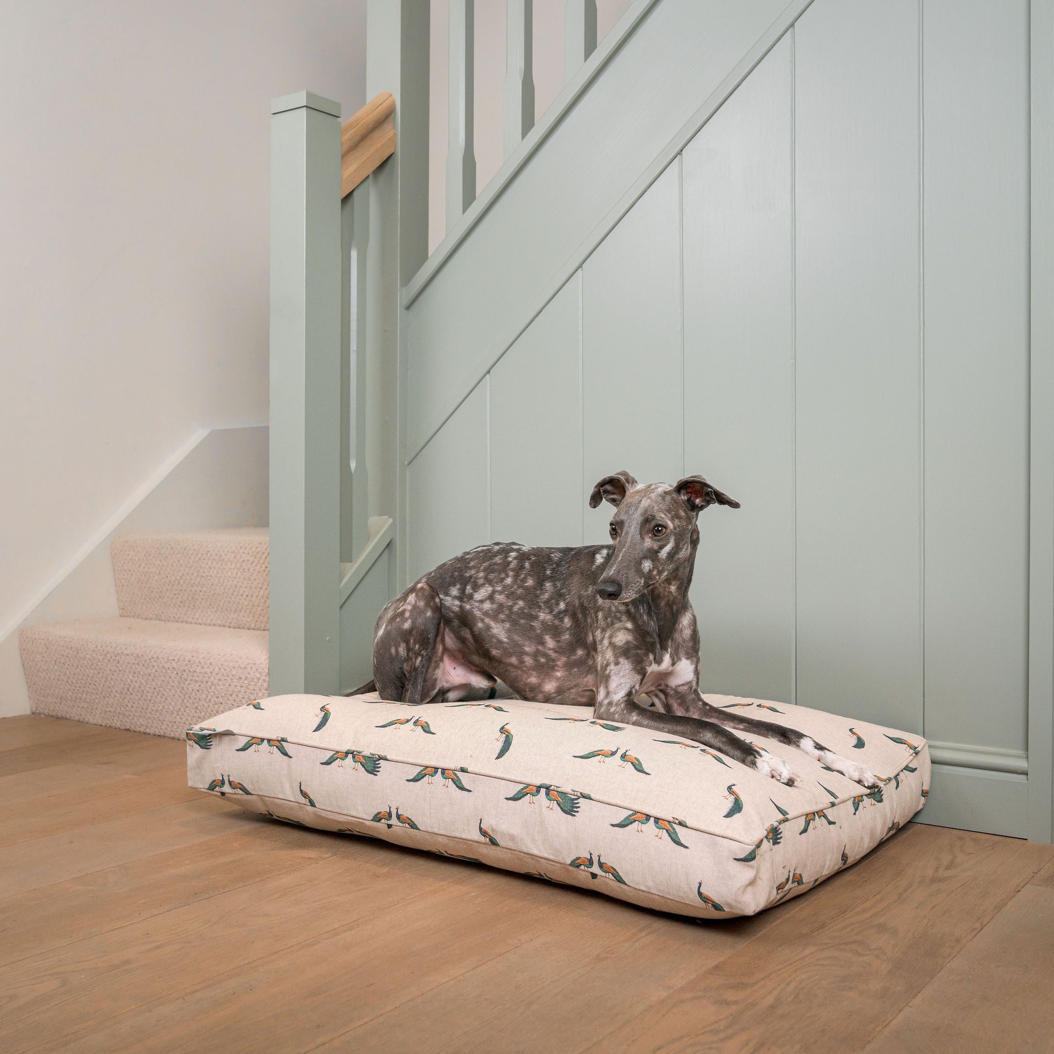 Ellie bo dog bed sale