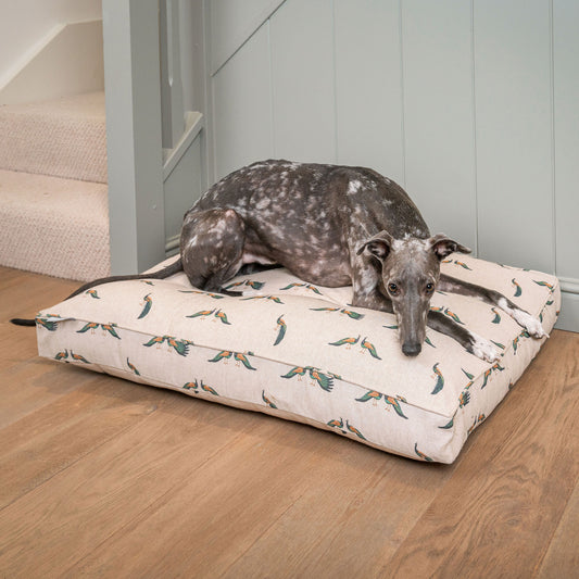 Luxury Dog Cushion, Available For Pet Personalisation, Handmade Here at Lords & Labradors! Order The Perfect Pet Cushion Today For The Ultimate Burrow!