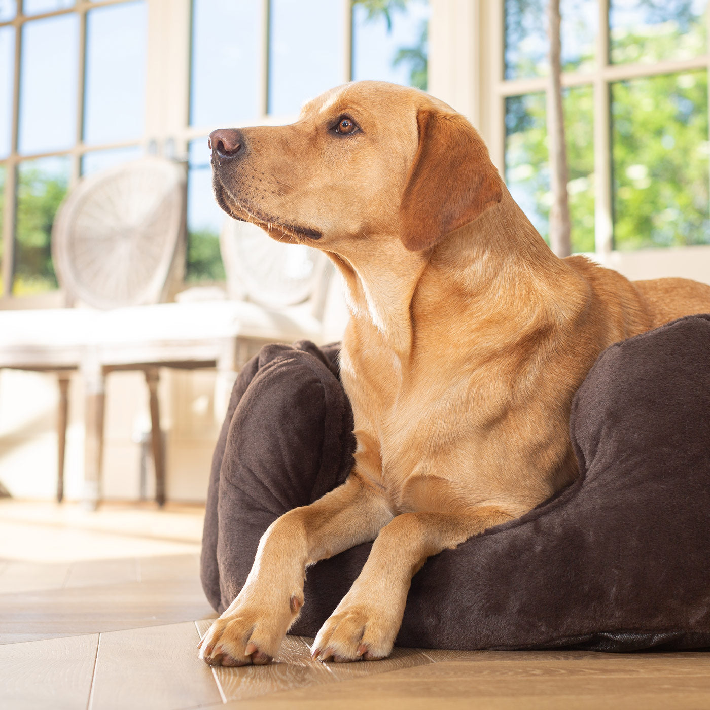 High Wall Bed For Dogs in Calming Anti-Anxiety Dusk Faux Fur by Lords & Labradors