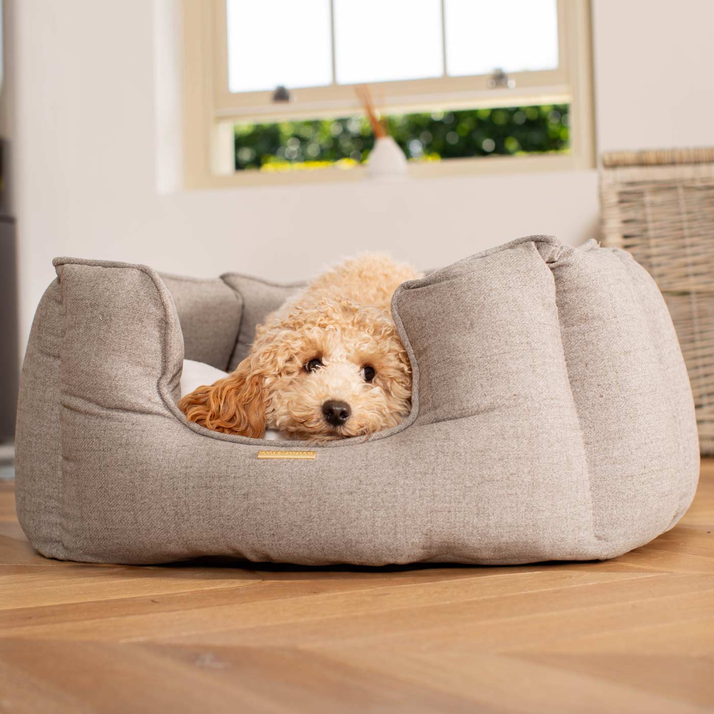 Bed For Small Dog, Small Breed Dog Bed, Washable Dog Bed, Dog Bed With Removable Cover, Raised Dog Bed, Dachshund bed, store Foldable Dog Bed