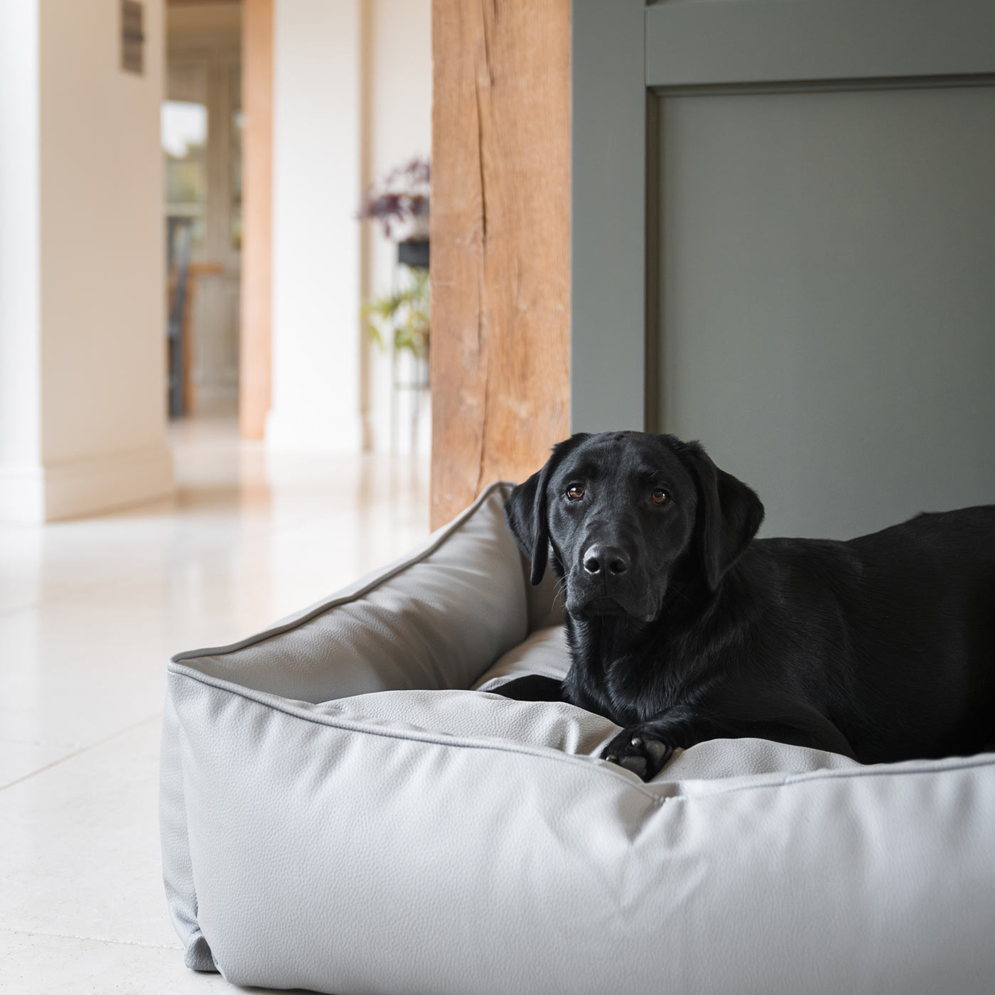 Box Bed For Dogs in Rhino Tough Granite Faux Leather by Lords