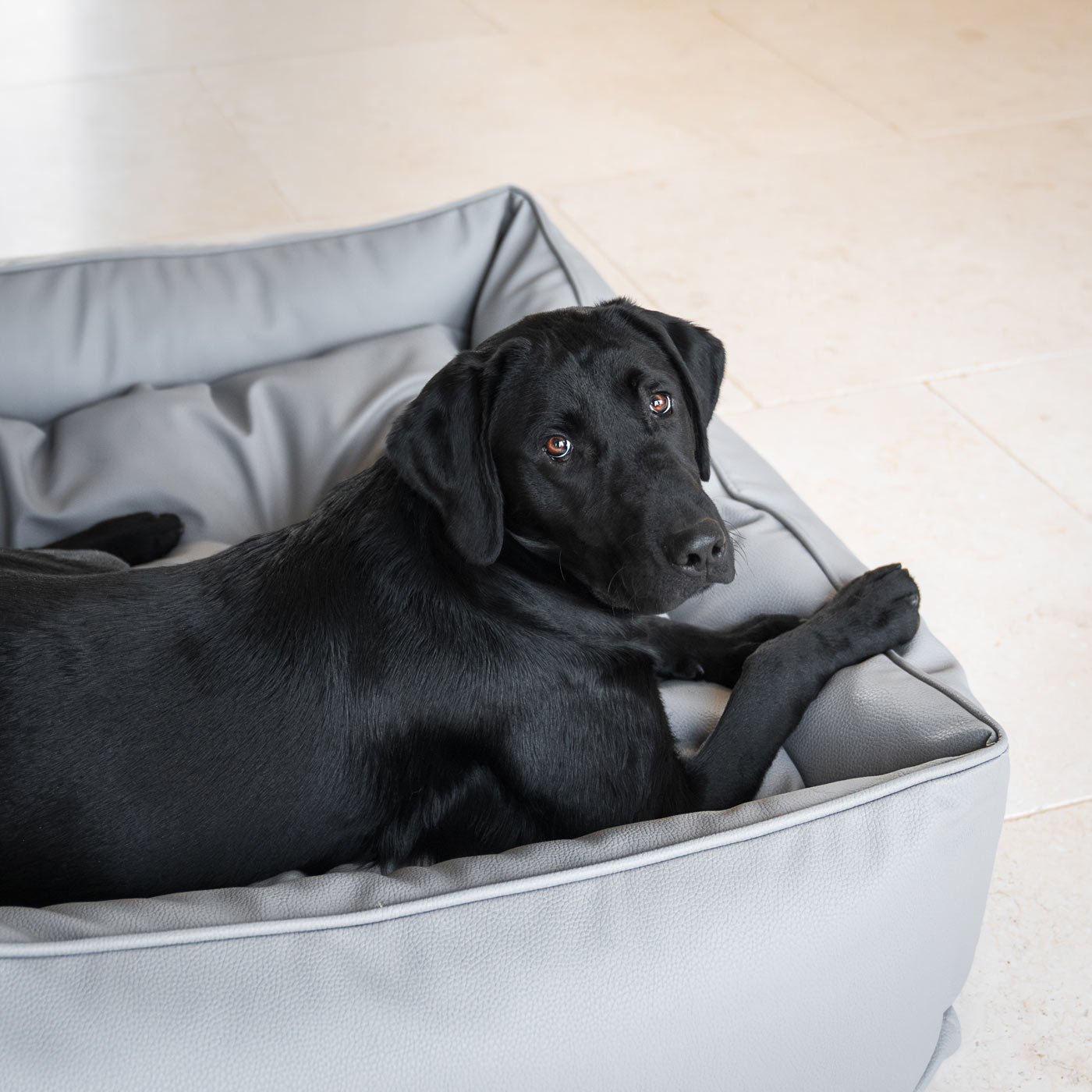 Box Bed For Dogs in Rhino Tough Granite Faux Leather by Lords