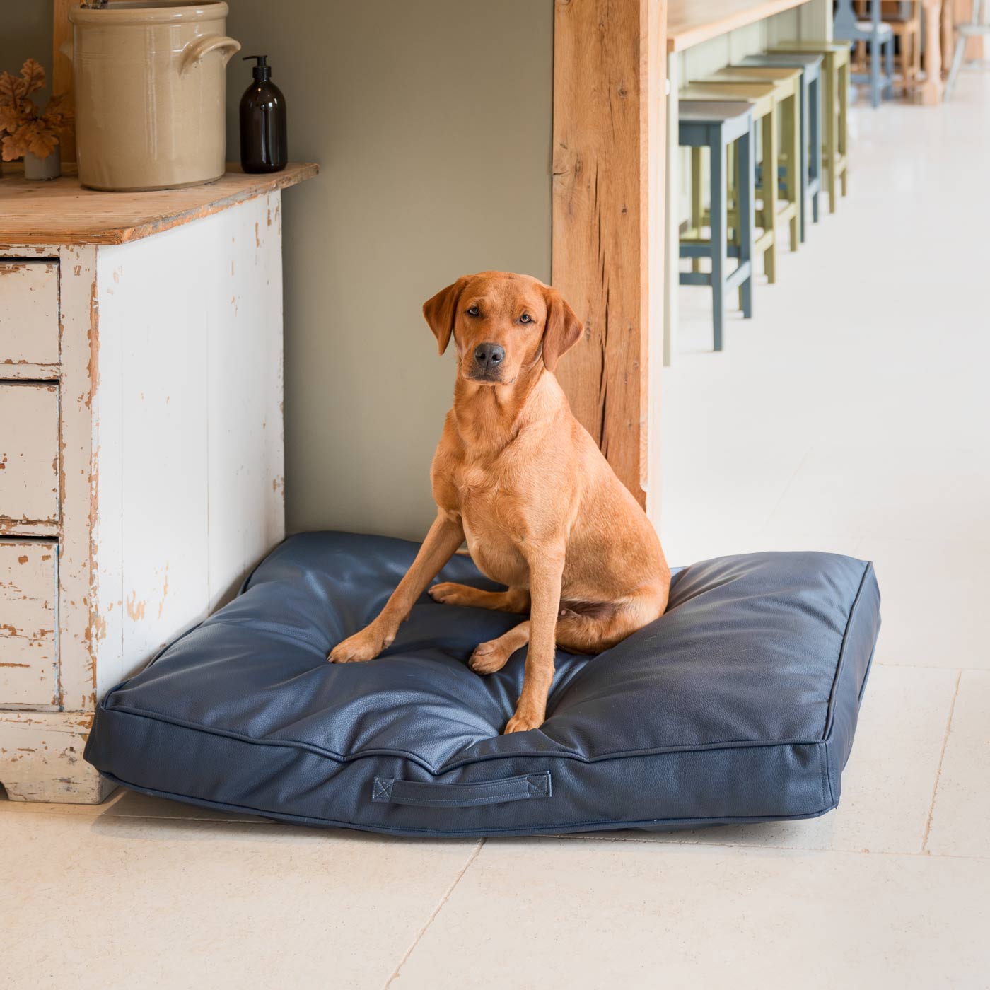 Toughest deals dog bed