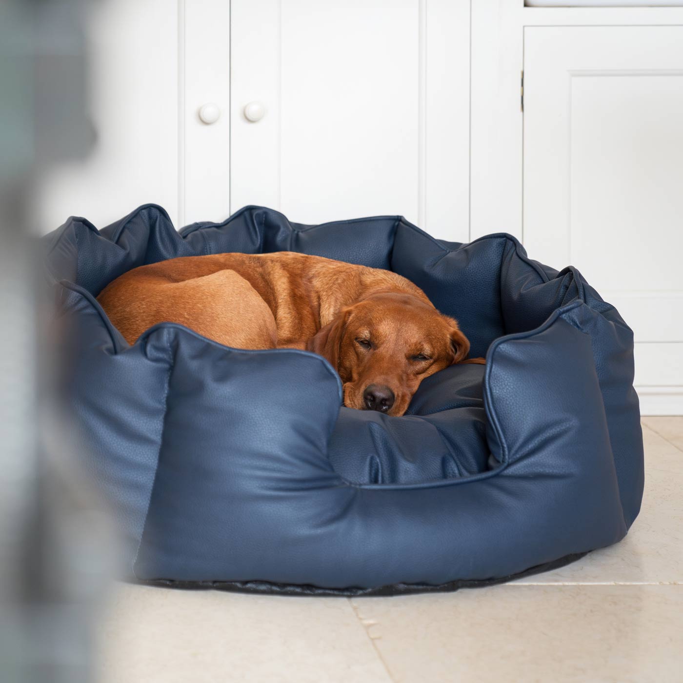 Dog tough bed best sale