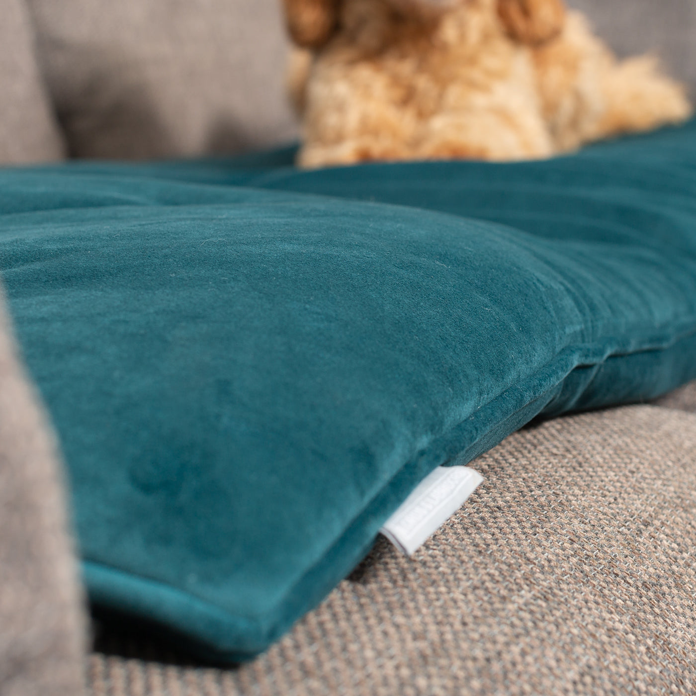 Sofa Topper in Marine Velvet By Lords & Labradors