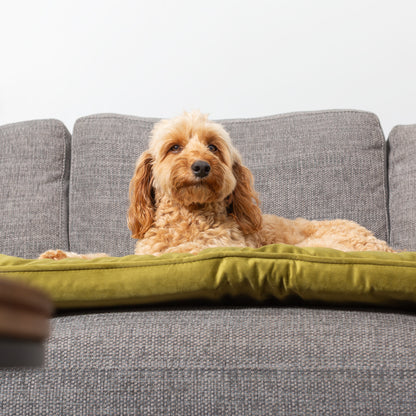 Sofa Topper in Olive Velvet By Lords & Labradors