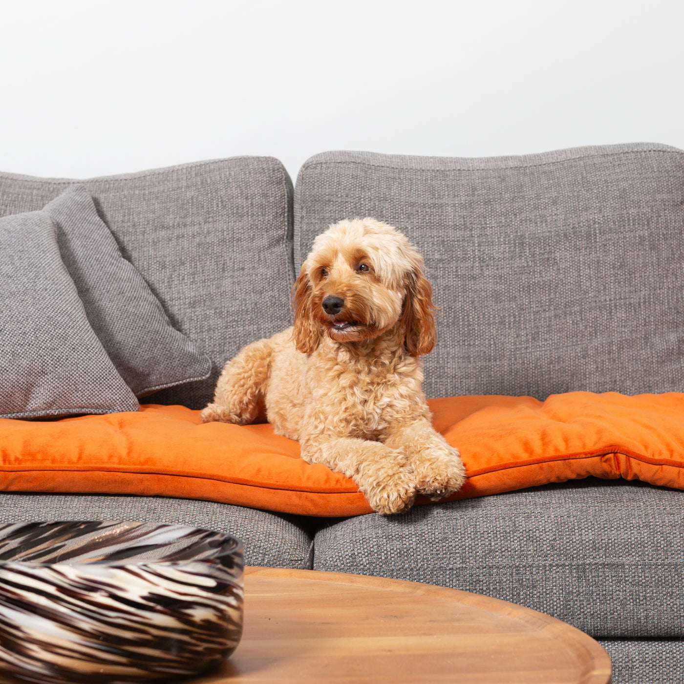 Sofa Topper in Pumpkin Velvet By Lords & Labradors