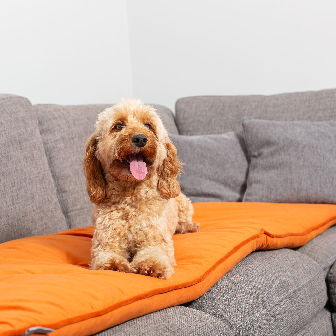 Sofa Topper in Pumpkin Velvet By Lords & Labradors