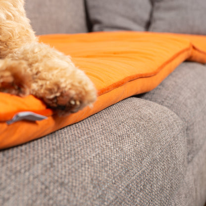 Sofa Topper in Pumpkin Velvet By Lords & Labradors