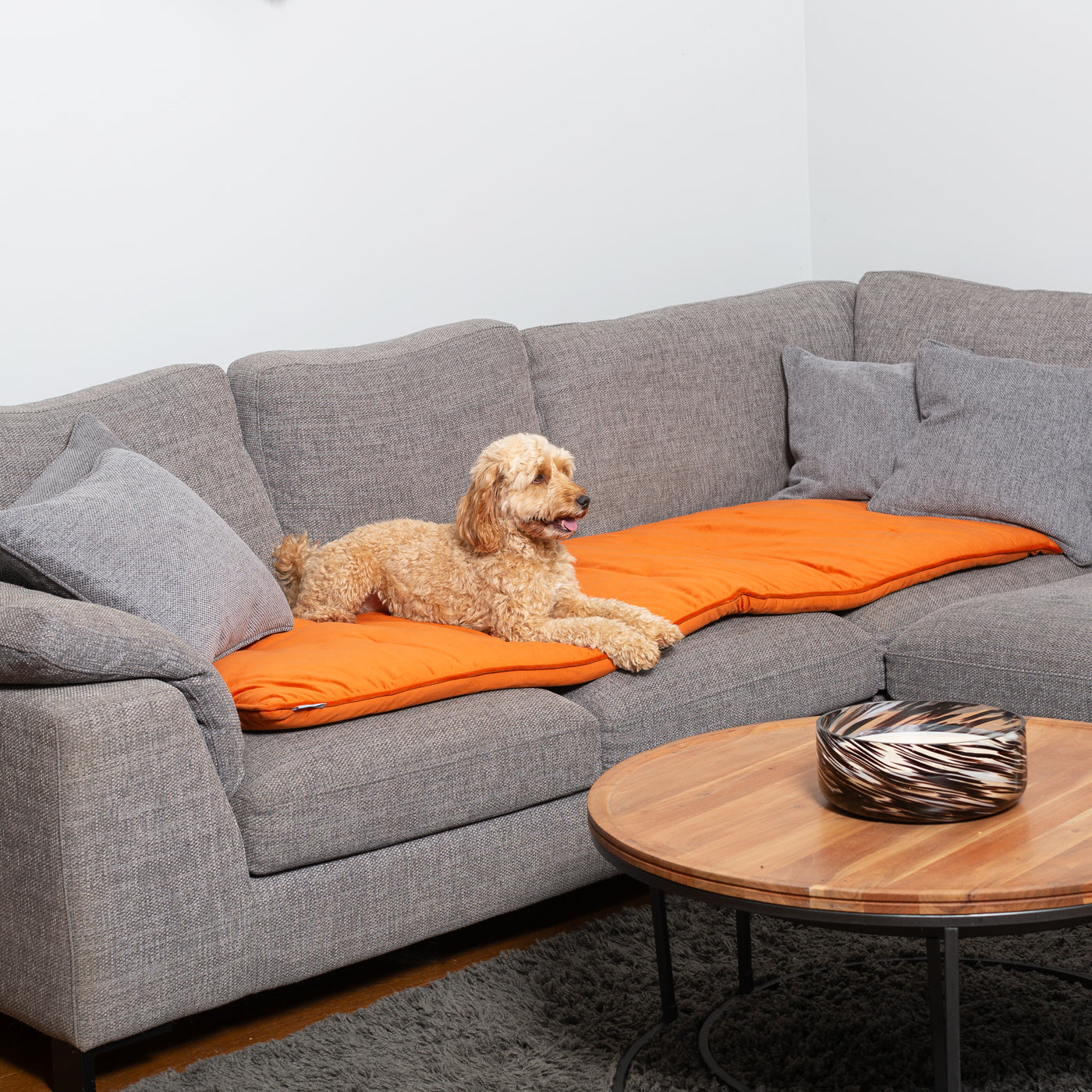 Sofa Topper in Pumpkin Velvet By Lords & Labradors