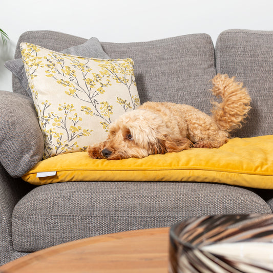 Sofa Topper in Saffron Velvet By Lords & Labradors