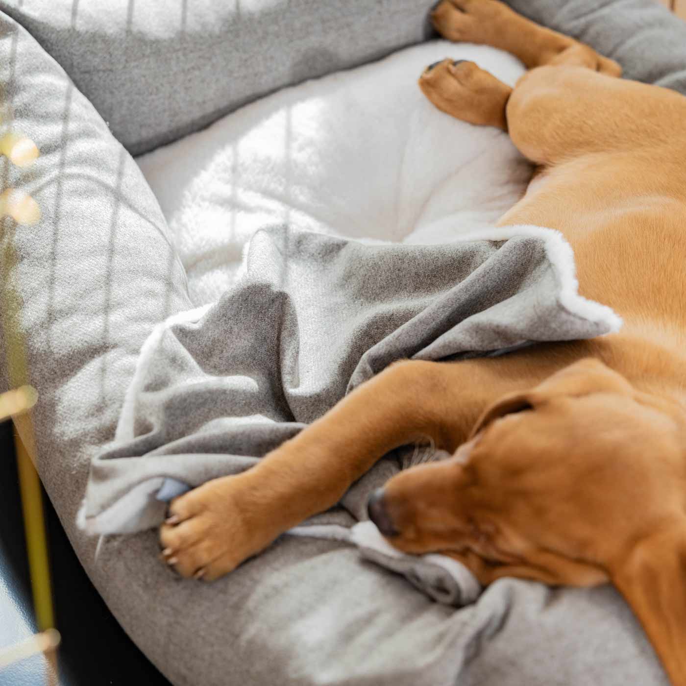 Discover The Perfect Scented Blanket For Puppies! Help Your New Furry Friend Settle Into Their New Home With Our Inchmurrin Scented Puppy Blanket In Stunning Dark Grey Ground! Available Now at Lords & Labradors 