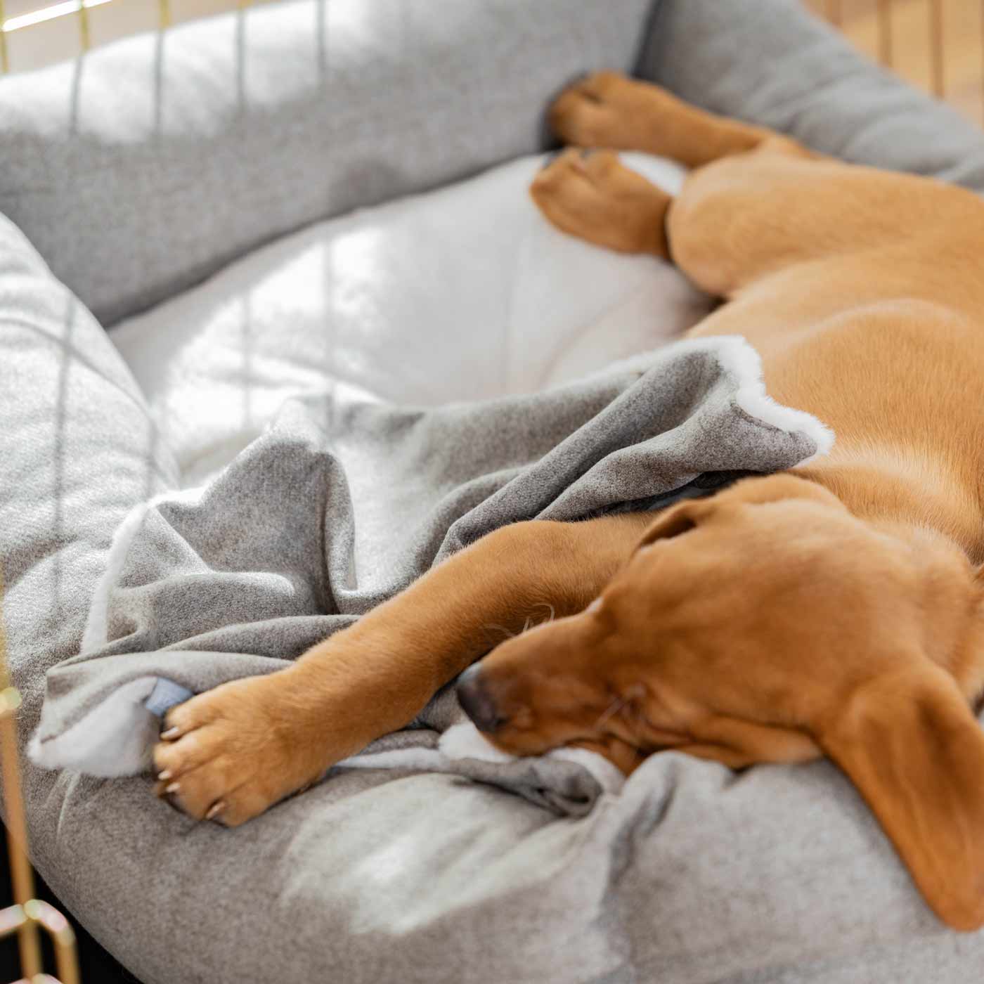 Discover The Perfect Scented Blanket For Puppies! Help Your New Furry Friend Settle Into Their New Home With Our Inchmurrin Scented Puppy Blanket In Stunning Dark Grey Ground! Available Now at Lords & Labradors 