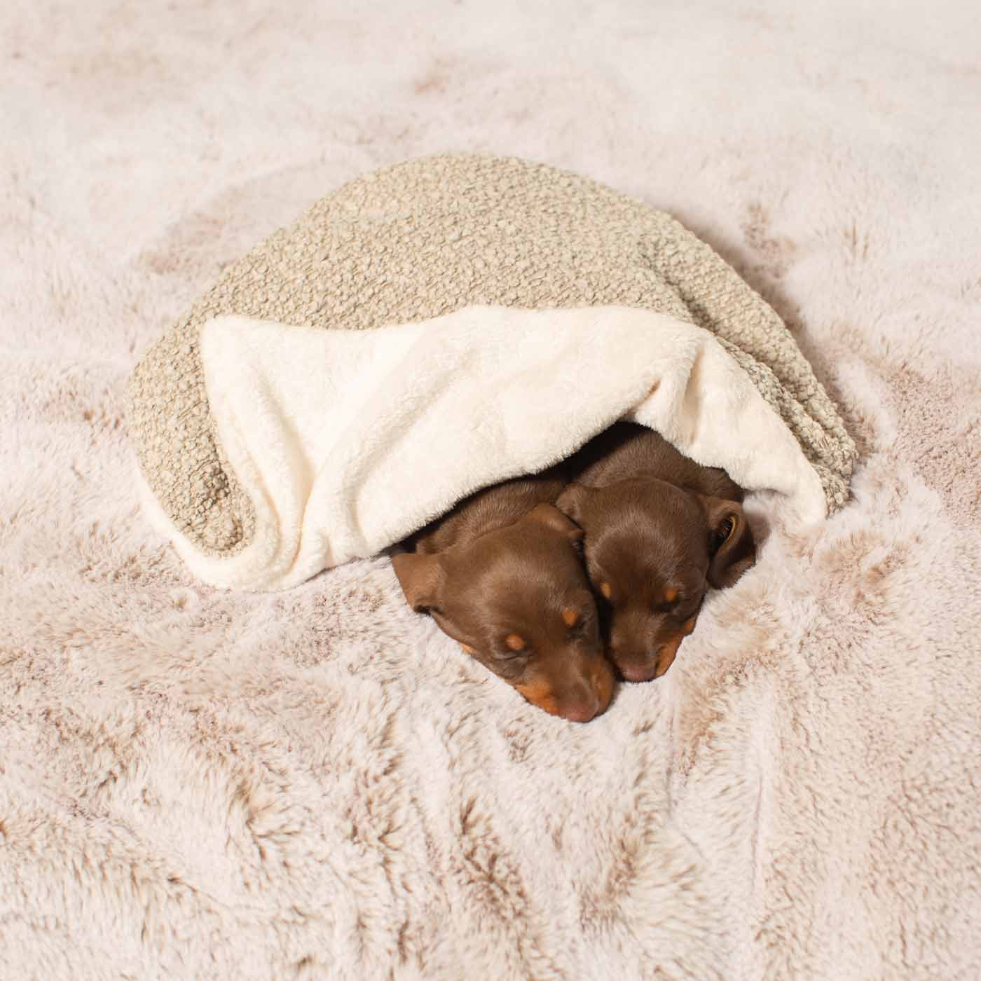 [colour:mink boucle] Luxury Boucle Pet Scent Blanket collection, In Stunning Mink Boucle. The Perfect Blanket For Dogs, Available at Lords & Labradors