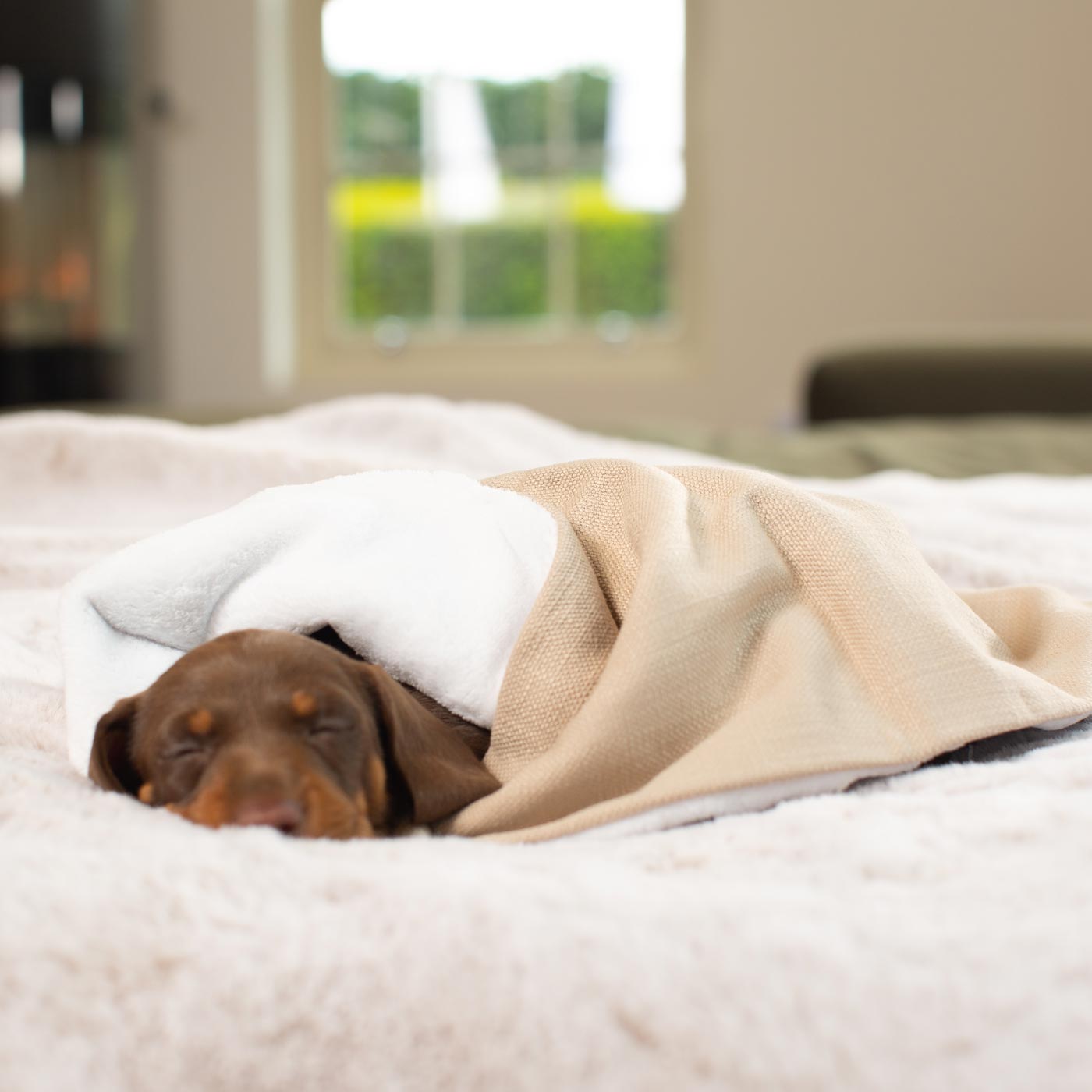 Puppy Scent Blanket in Savanna Oatmeal and Sherpa Fleece Lords