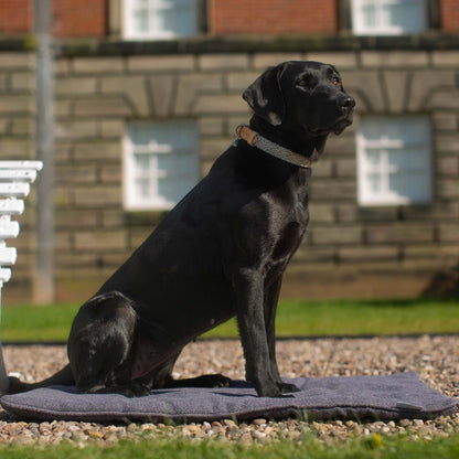 Embark on the perfect pet travel with our luxury Travel Mat in Oxford Herringbone. Featuring a Carry handle for on the move once Rolled up for easy storage, can be used as a seat cover, boot mat or travel bed! Available now at Lords & Labradors