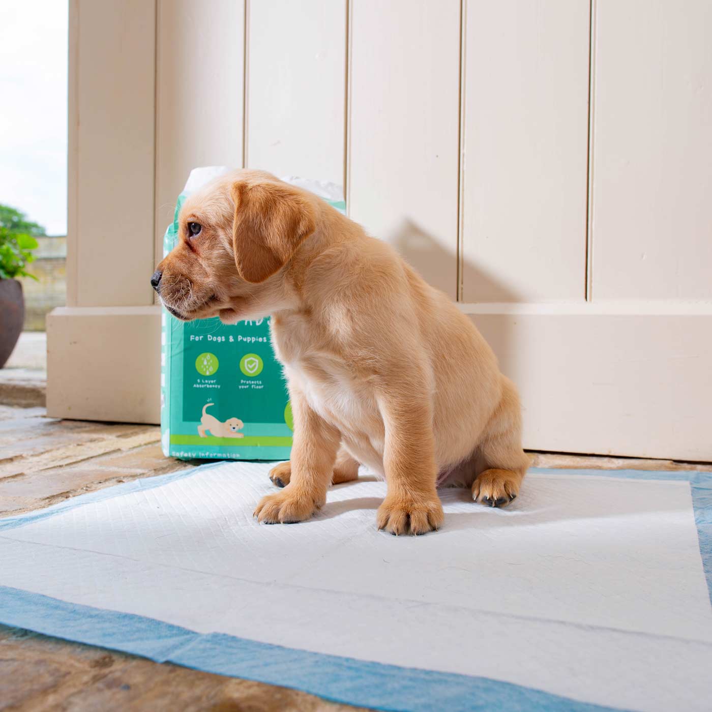 150 best sale puppy pads