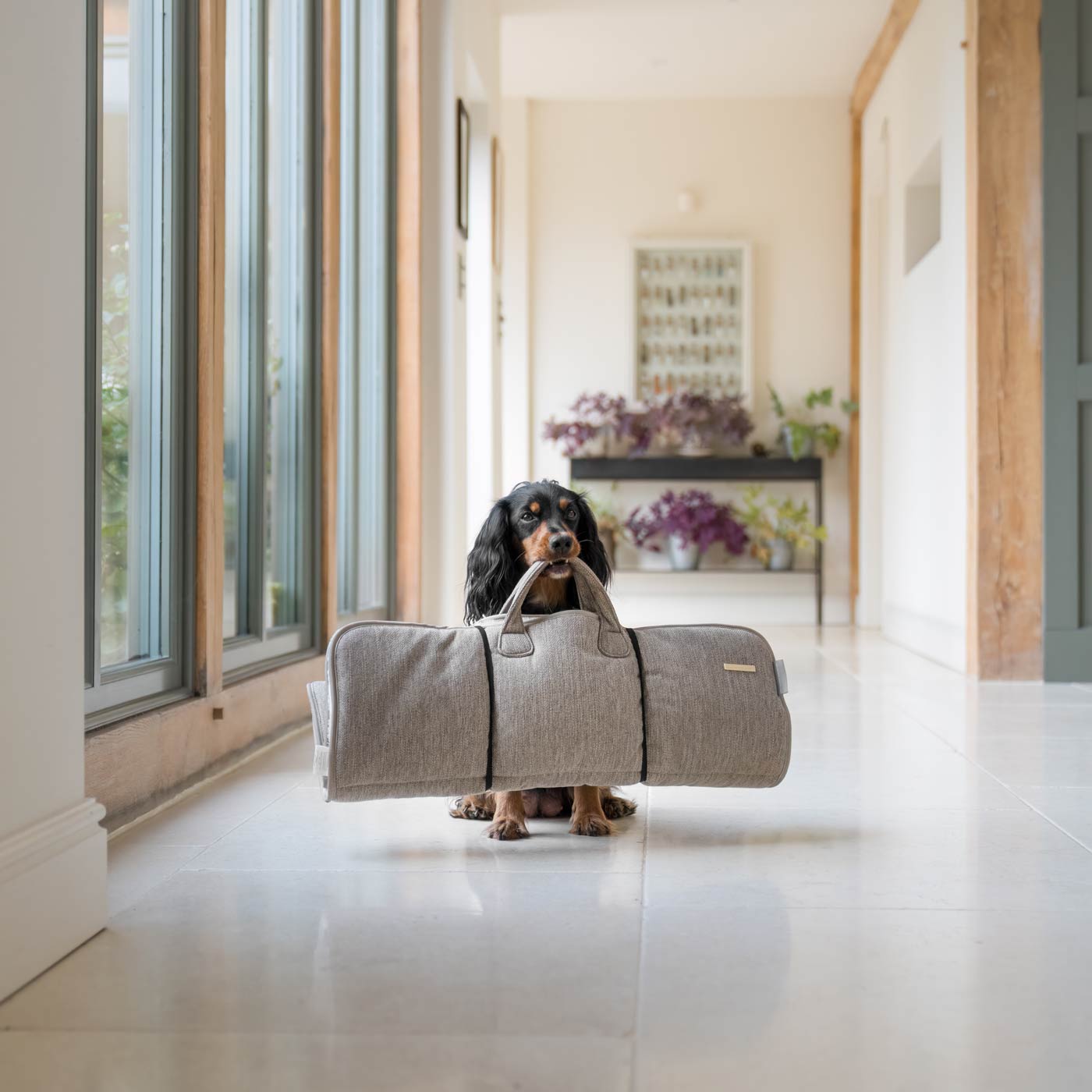 Puppy Travel Mats