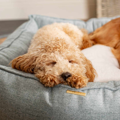 Luxury Handmade Box Bed For Dogs in Inchmurrin Iceberg, Perfect For Your Pets Nap Time! Available To Personalise at Lords & Labradors