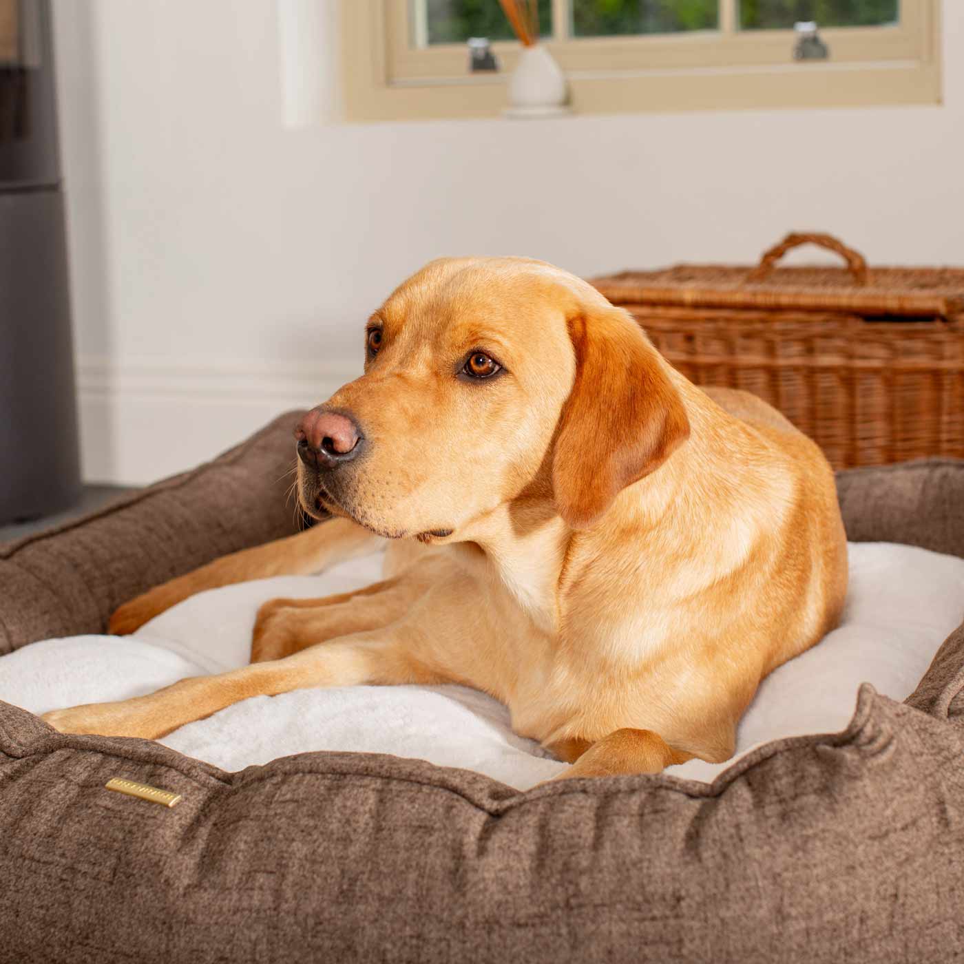 Luxury Handmade Box Bed For Dogs in Inchmurrin Umber, Perfect For Your Pets Nap Time! Available To Personalise at Lords & Labradors