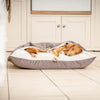 Sleepy Burrows Bed In Silt Velvet By Lords & Labradors