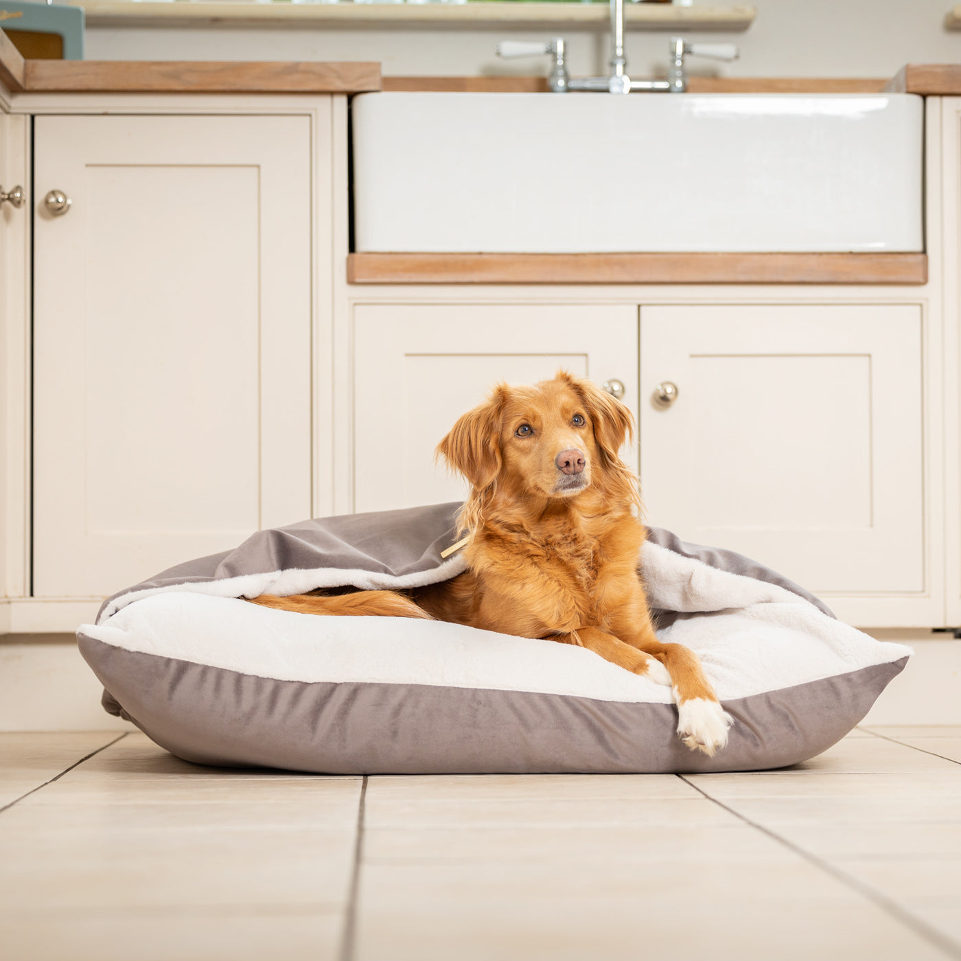 Sleepy Burrows Bed In Silt Velvet By Lords & Labradors