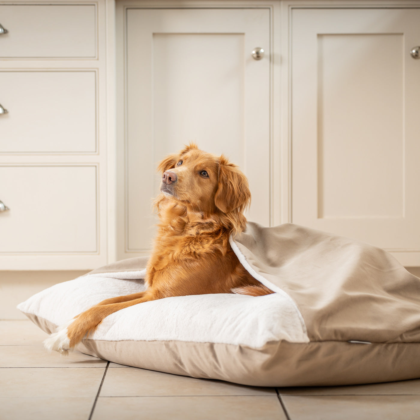 Sleepy Burrows Bed In Clay Velvet By Lords & Labradors