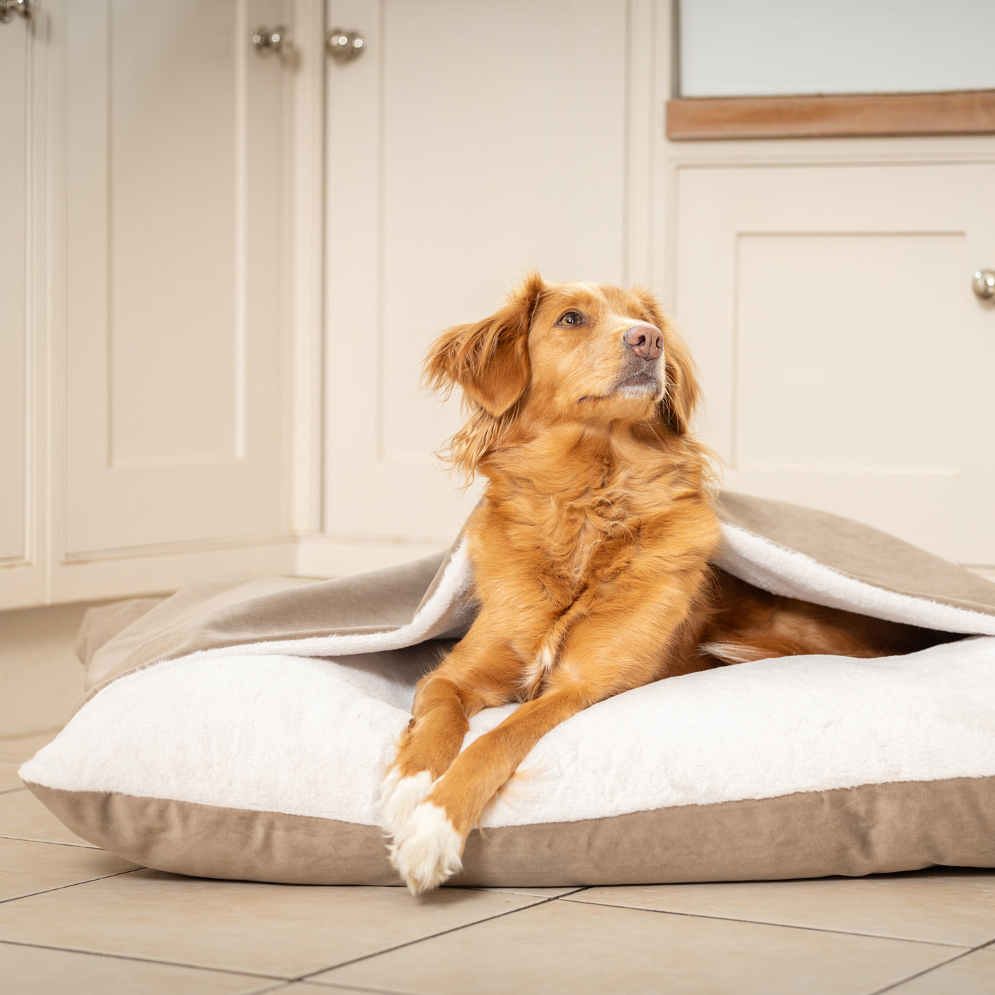 Sleepy Burrows Bed In Clay Velvet By Lords & Labradors