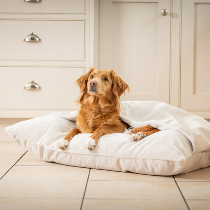 Sleepy Burrows Bed In Oyster Velvet By Lords & Labradors