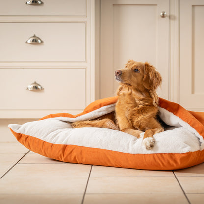 Sleepy Burrows Bed In Pumpkin Velvet By Lords & Labradors