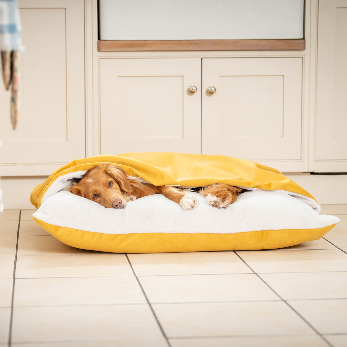 Sleepy Burrows Bed In Saffron Velvet By Lords & Labradors