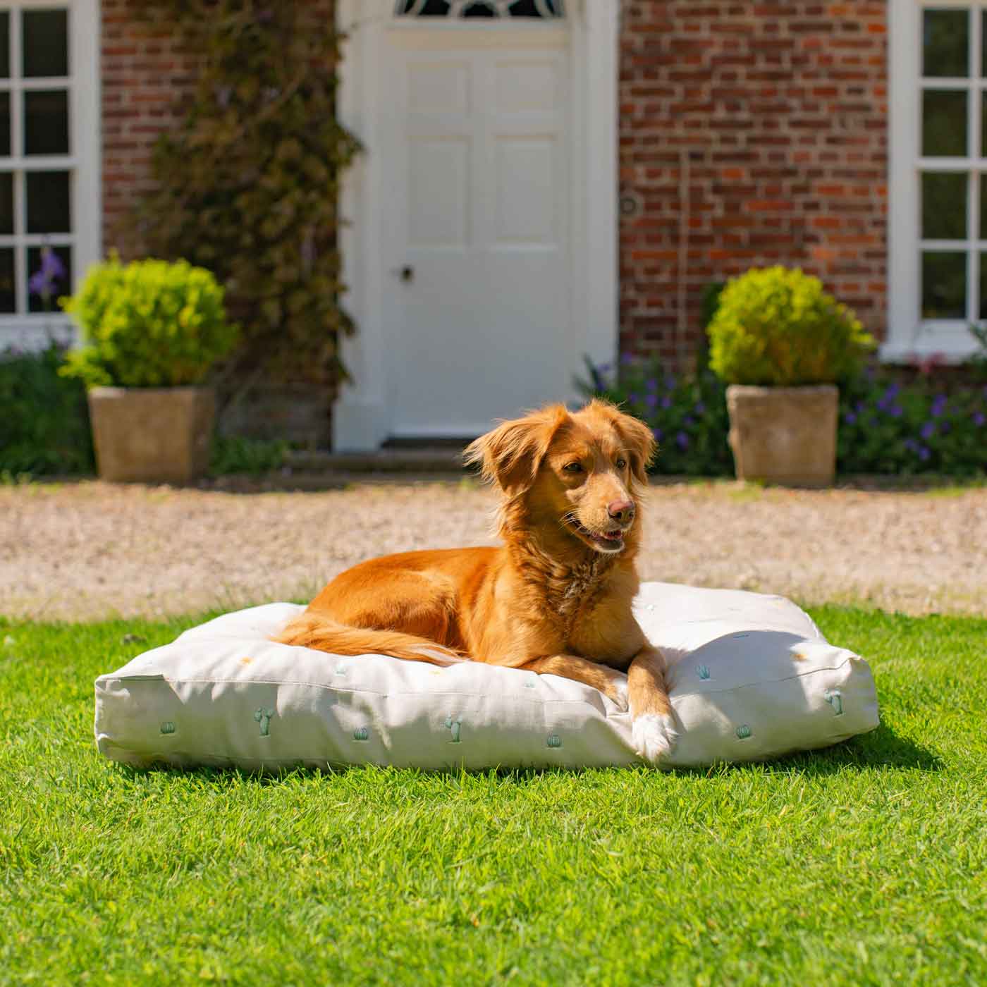 Luxury Sleepeeze Dog Cushion in Cactus, The Perfect Pet Bed Time Accessory! Available Now at Lords & Labradors