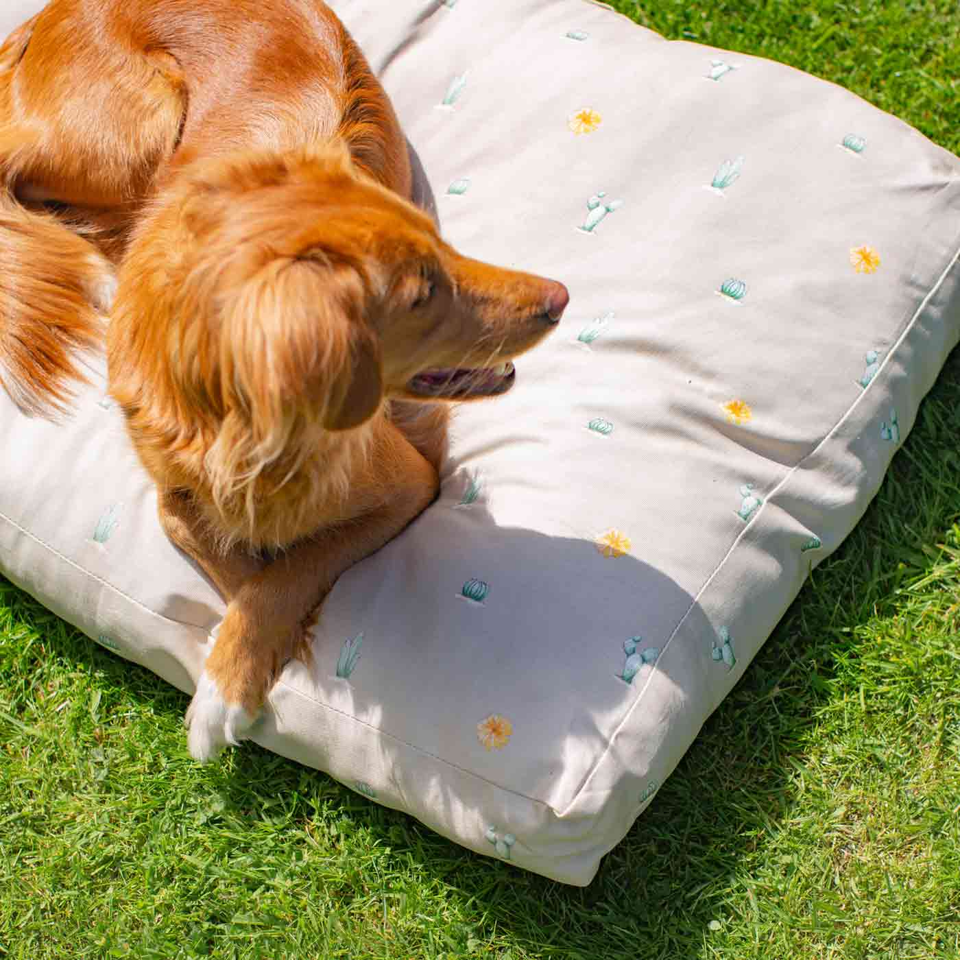 Luxury Sleepeeze Dog Cushion in Cactus, The Perfect Pet Bed Time Accessory! Available Now at Lords & Labradors